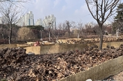 수원특례시 영통구, 생활폐기물 낙엽 천연 멀칭재로 재활용