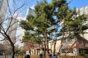 수원시, 19개 아파트에 공동주택 민간조경 컨설팅 완료
