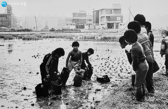 송파구 석촌동, 1981년 11월 29일