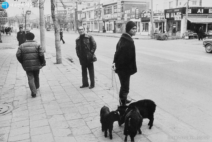 서울, 1977년 2월 6일