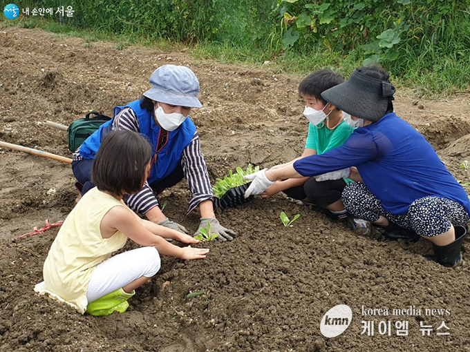 서울시민과 서울시에 주소를 둔 단체(기관)는 참여 신청할 수 있다.