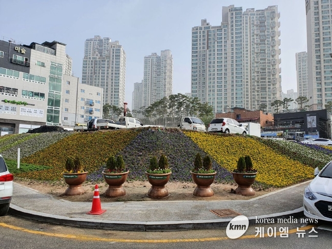 동백3동 행정복지센터 옆 임시주차장 둘레에 봄꽃이 가득 피어있다.