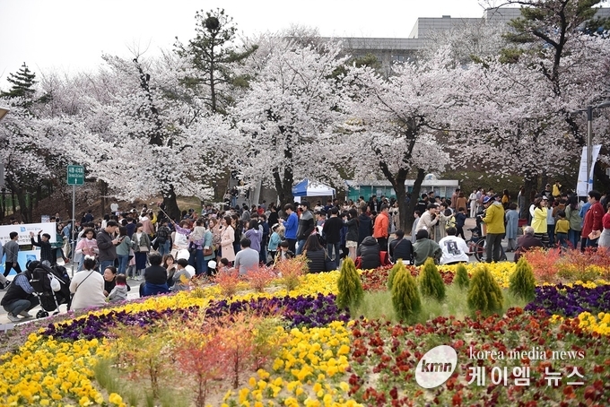 2019년 봄꽃축제 사진 
