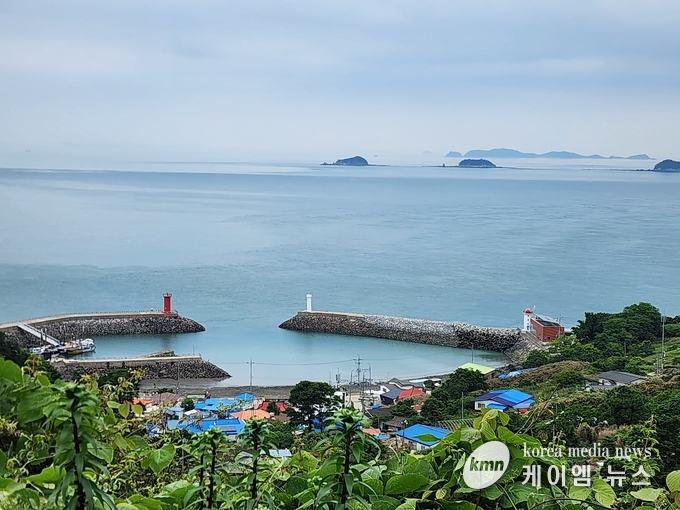 사진/김영진기자