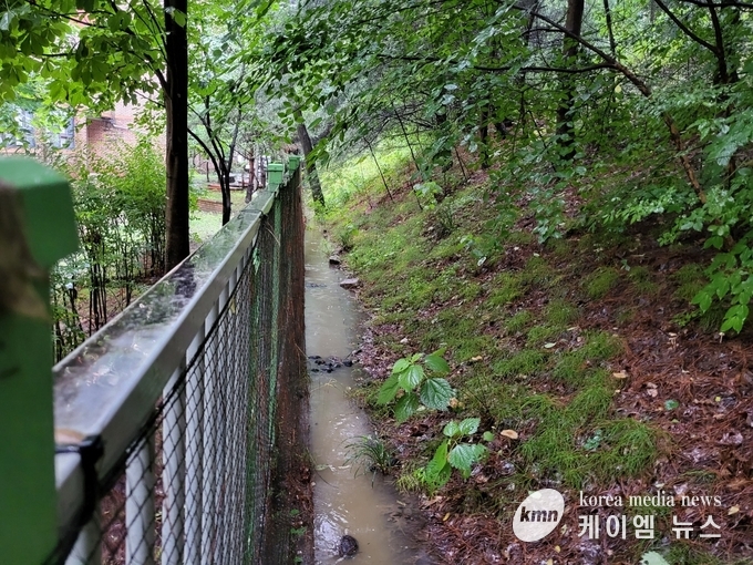 사진/용인특례시청 제공