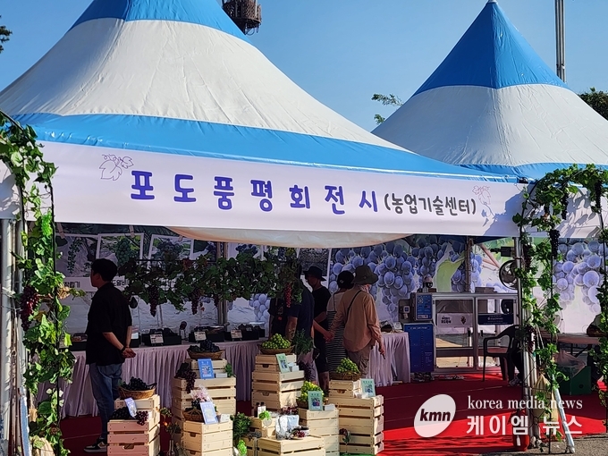 사진/김영진기자