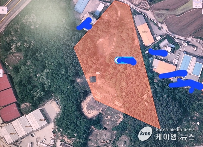 사진/김영진기자