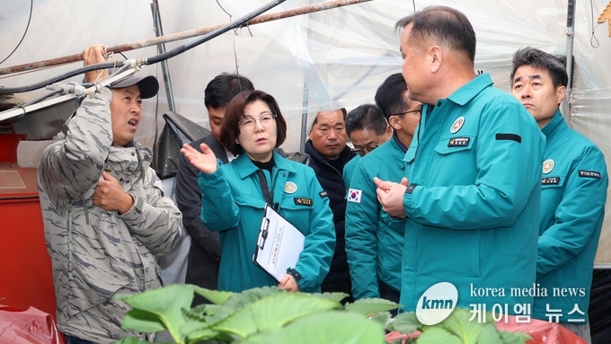 사진/안성시청 제공