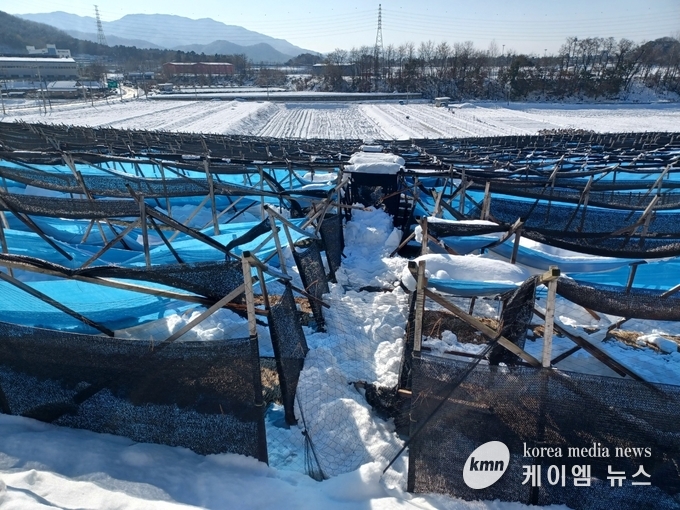 사진/안성시청 제공