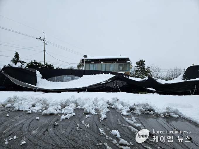 사진/안성시청 제공