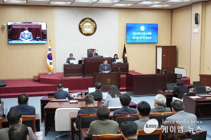 사진/김영진 기자