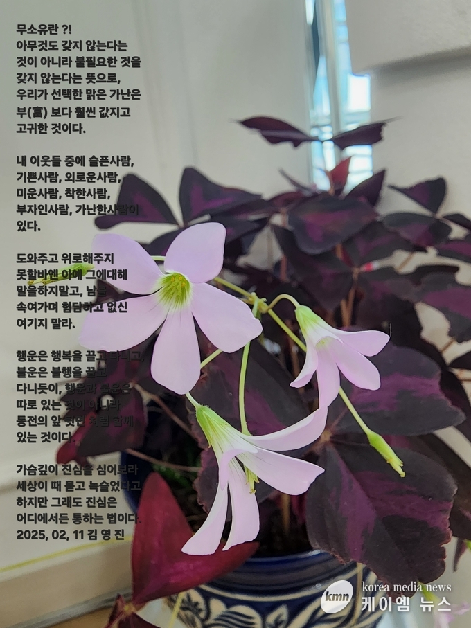 사진/김영진 기자