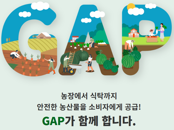 농산물우수관리(GAP) 사진/안성시청 제공