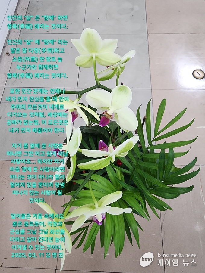 사진/김영진 기자