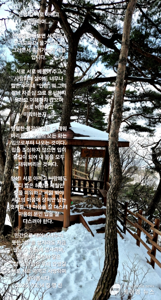 사진/김영진 기자