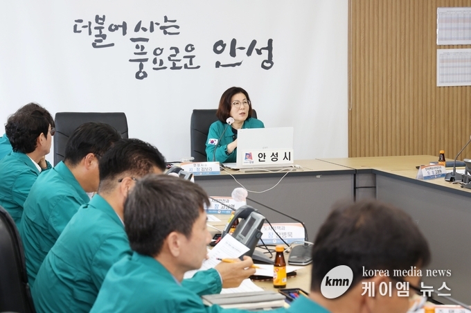 지반침하 예방을 위한 제2차 긴급 특별안전대책 회의를 하고 있다. 사진/안성시청 제공