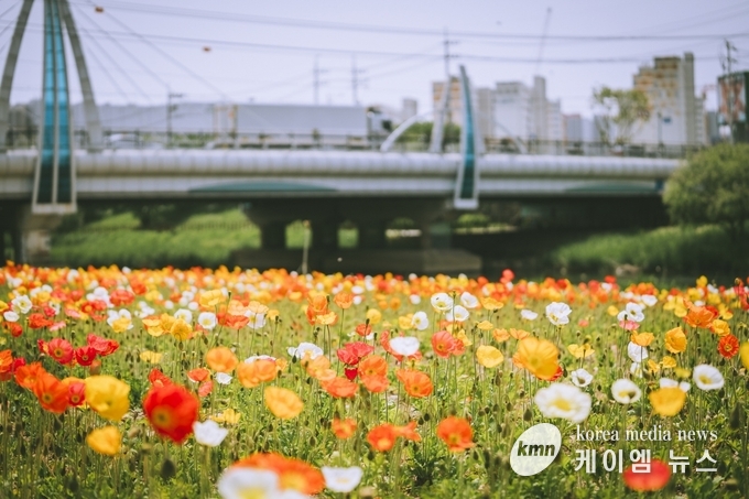 오산시, 오산천 따라 함께하는 자연 나들이 사진/오산시청 제공