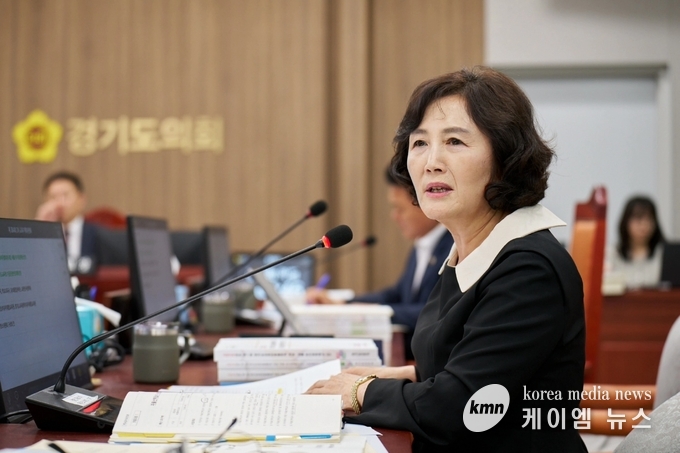 김영희 의원은 자율급식 예산 형평성·실효성 지적하고 있다. 사진/경기도의회 제공