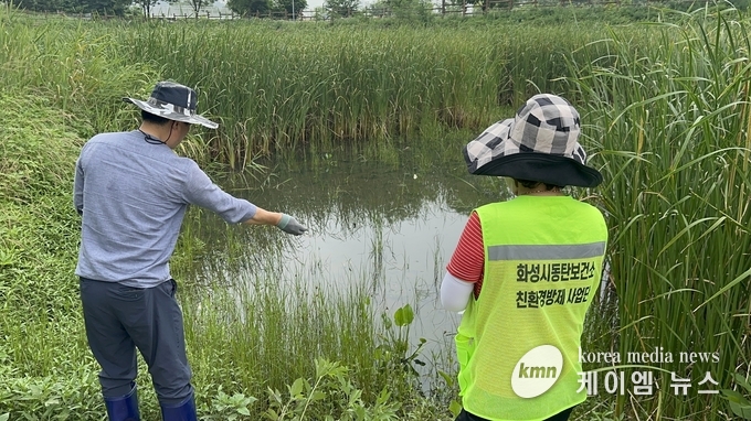 화성시동탄보건소 관계자가 26일 너른공원에서 모기 매개 감염병 예방을 위한 성충방제작업을 하고 있다. 사진/화성특례시청 제공