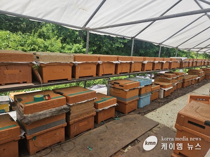 용인특례시 스마트 벌통을 설치한 양봉농가 모습 사진/ 용인특례시청 제공