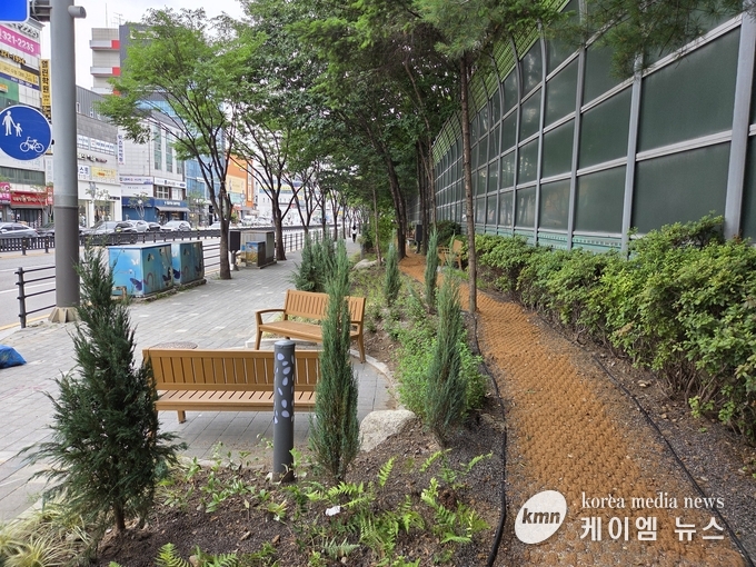 명지대 사거리 완충녹지 개선 후 모습 사진/용인특례시청 제공
