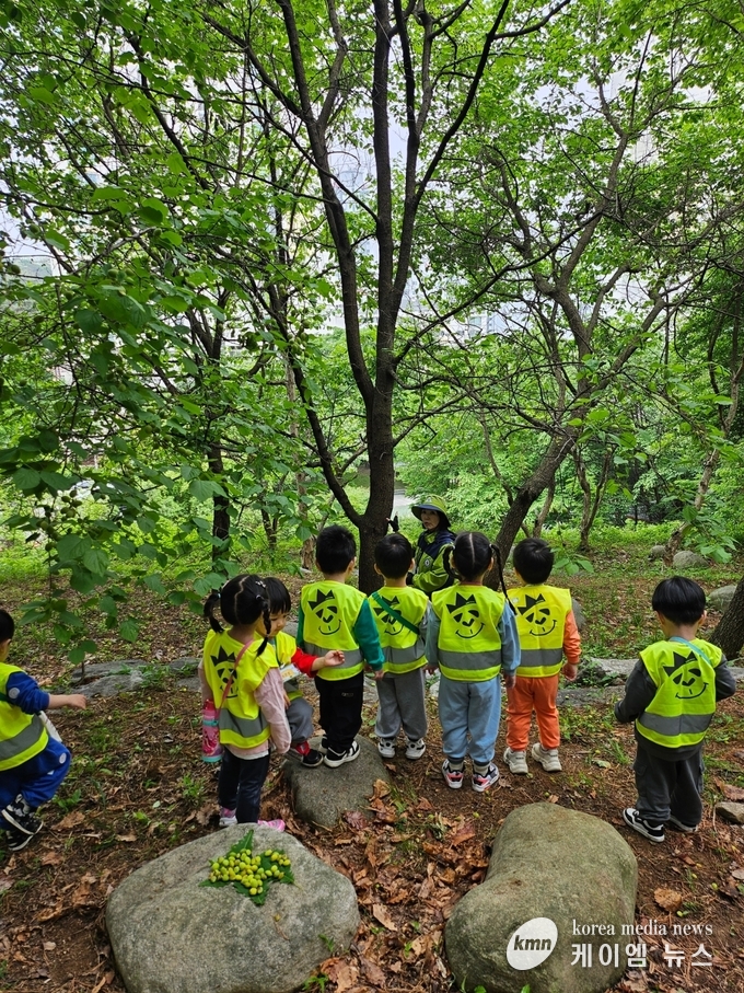 용인특례시에서 지난해 진행한 유아숲체험 프로그램 현장 사진 사진/용인특례시청 제공