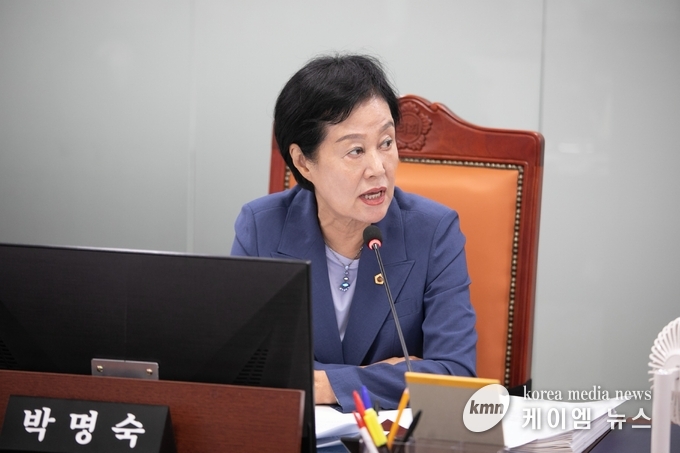 박명숙 의원은 제385회 임시회 제1차 건설교통위원회에서교통약자인 고령자와 디지털 약자의 이동 편의 정책이 되도록 내실 있게 추진해 줄 것을 강조했다. 사진/경기도의회 제공