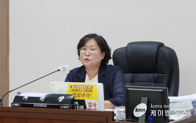 안성시의회 이관실(더불어민주당) 예산결산특별위원장 사진/안성시의회 제공