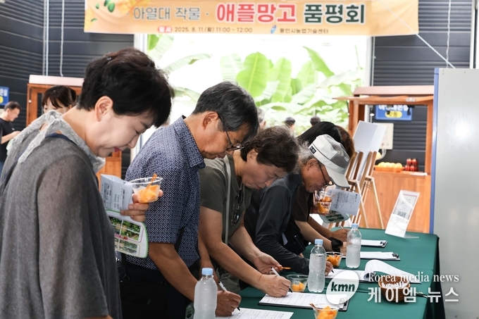시민들이애플망고를 시식하여 품평회를 하고 있다. 사진/용인특례시청 제공