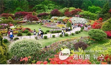 아침고요 수목원