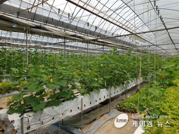 성남시 농지 현황 기록한 7789건 농지원부 일제 정비