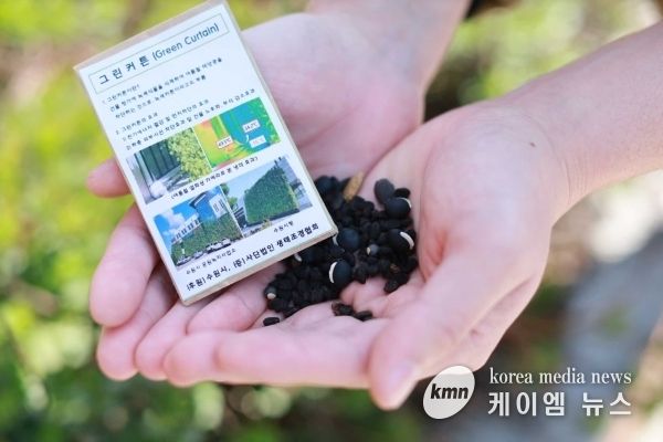 ‘그린커튼 씨앗’구청 민원실에서 무료로 받아가세요