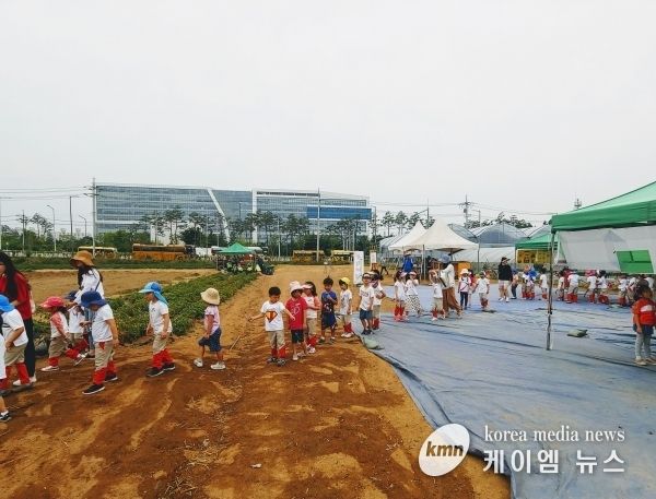 도심 한복판 성남시민농원서 “감자 캐요~”