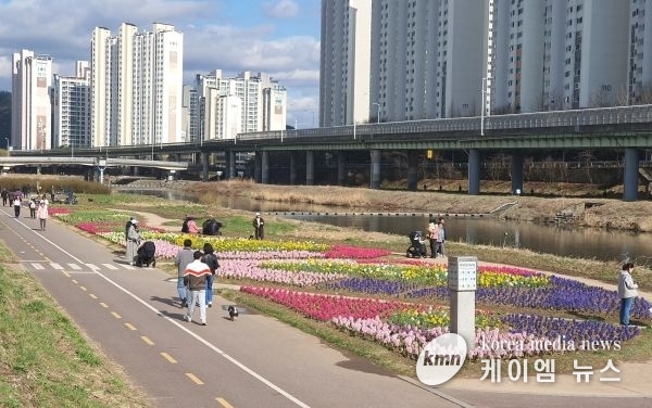 봄나들이 명소 안양천, 화사한 봄꽃과 함께 시민 맞이 준비