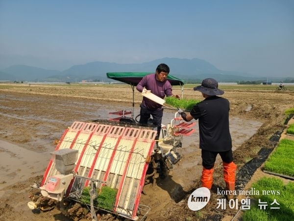포천시, 벼 병해충 예찰포 모내기 실시