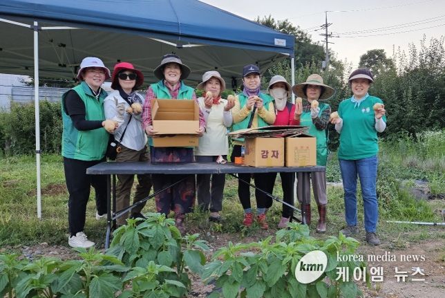오산시 신장2동, 직접 키운 감자로 실천하는 사랑의 감자 나눔