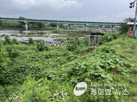 화성시, 생태계교란생물 퇴치사업 및 종합 모니터링 사업 본격 추진