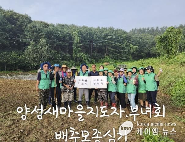 안성시 양성면 새마을지도자 ․ 부녀회 연말 김장나눔 위한 배추모종 행사