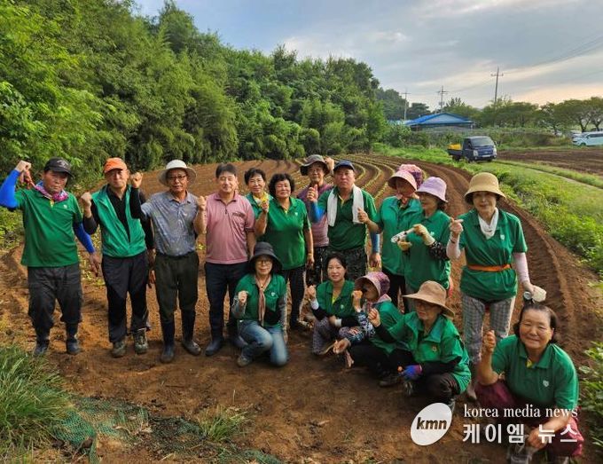 홍성군 홍북읍 남녀새마을회, 이웃사랑 배추심기 행사 성료