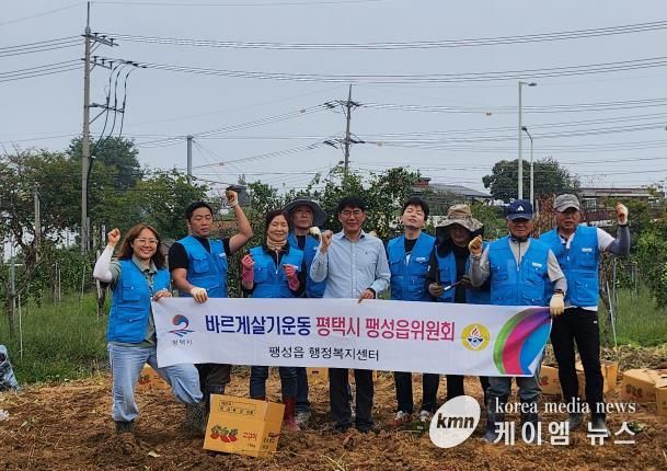 바르게살기운동 평택시 팽성읍 위원회, 고구마 수확 행사