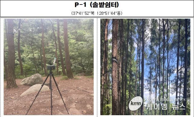 강원특별자치도 보건환경연구원,'강릉솔향수목원' 피톤치드 조사