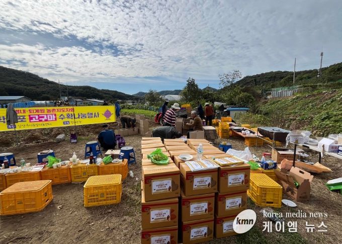 남양주시 농업인단체, 공동학습포 수확으로 ‘나눔의 농심’ 실천