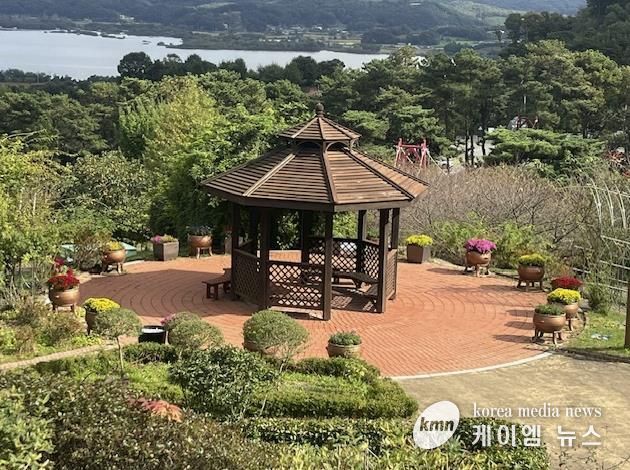 봉수산수목원 내 국화꽃 만개 모습