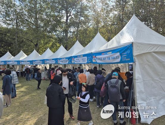 양구 감성 축제