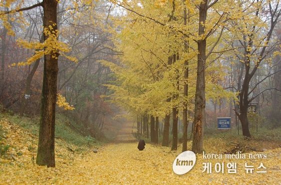 강화성 북문의 가을