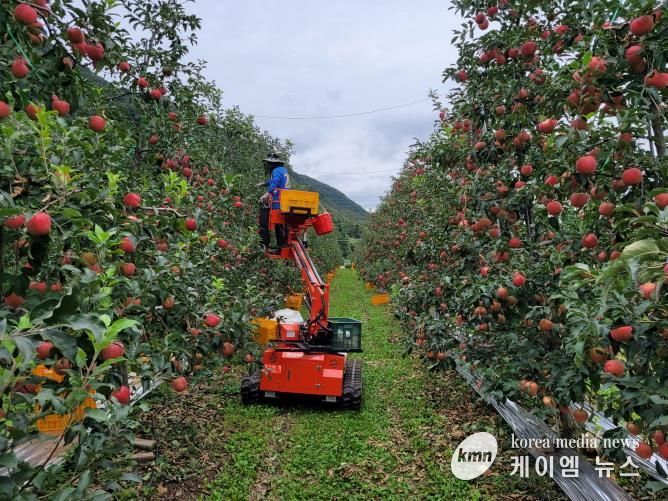포천시, ‘2025년 포천사과 품평회 및 판매행사’ 개최