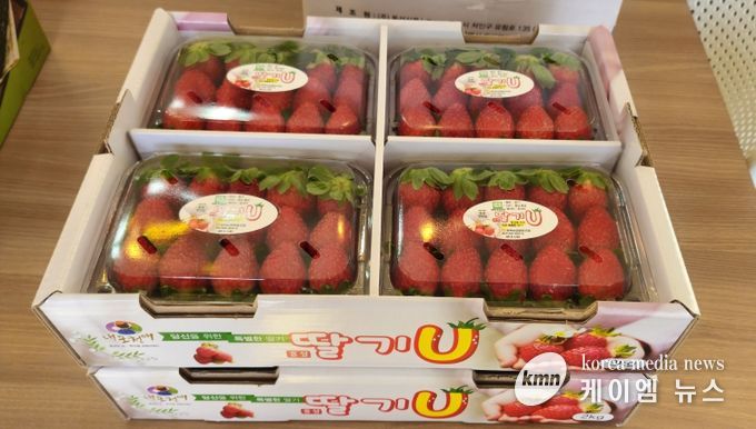달콤한 시작은 홍성에서...홍성딸기 가락시장 데뷔!