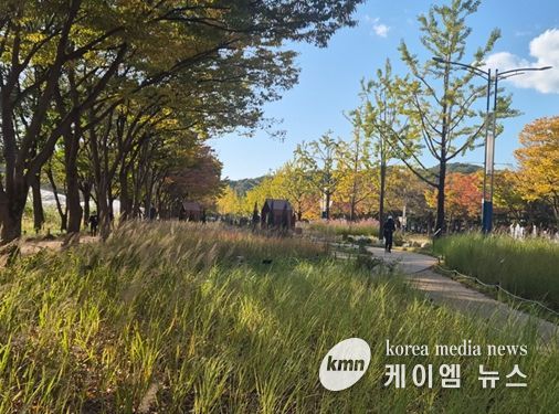 인천대공원에서 즐기는 마지막 코스모스