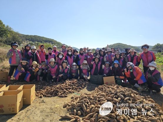 생활개선회와 ‘사랑의 고구마’나눔으로 온정