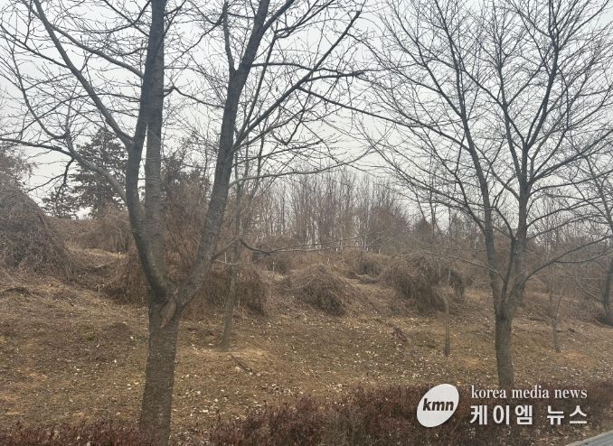 이천시, 2026년 도시숲리모델링사업 선정